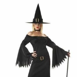 California Costume Size Small 6-8 Elegant Witch